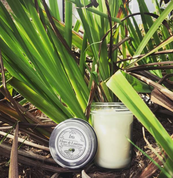 Iris scented candle in front of iris plant